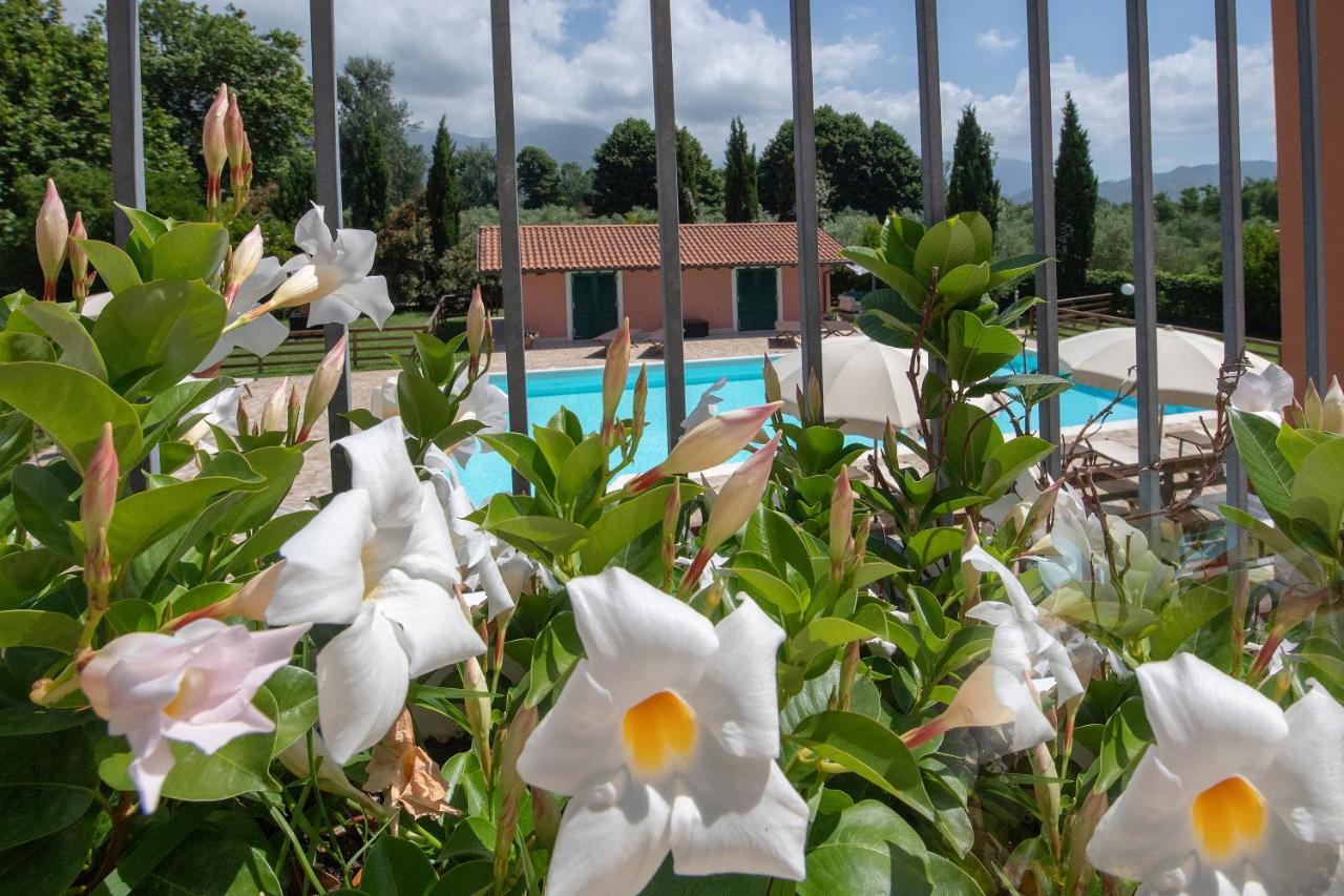 פיאטרה סנטה Relais Villa Isabel מראה חיצוני תמונה